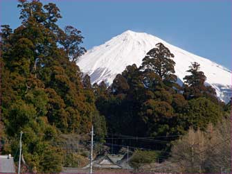 富士山