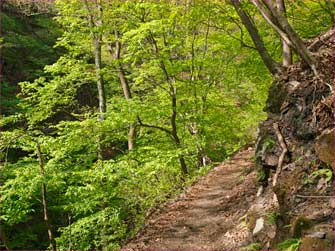 登山道