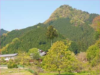 三峰口の山