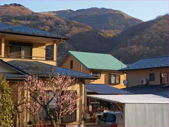 谷峨から大野山を