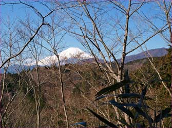 富士山が