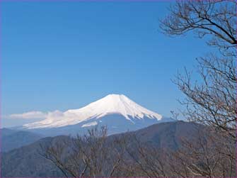 富士山