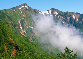 鹿島槍夏姿