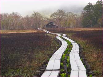 竜宮小屋