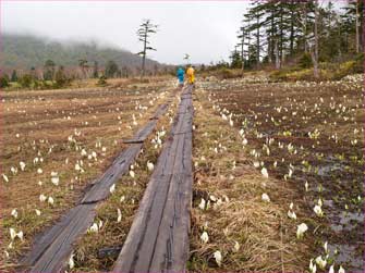 温泉小屋へ