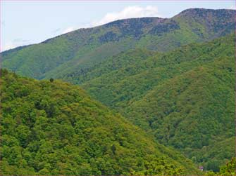 燧ヶ岳