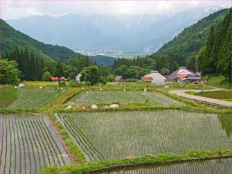 青鬼展望