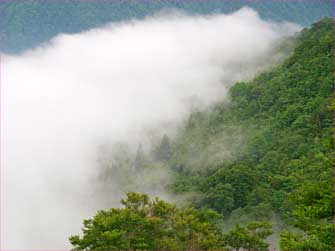 谷間に雲が