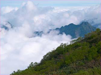 雲海