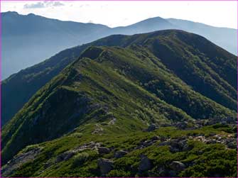 池山吊尾根静か