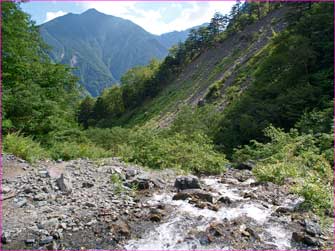 大樺沢