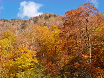 紅葉の山