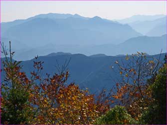 熊野奥山