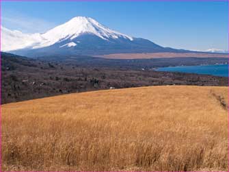 富士山