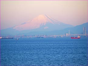 海蛍から富士山