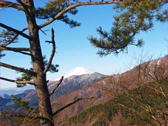 松の富士