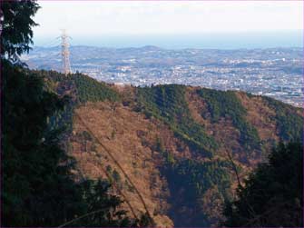 大倉尾根下部で