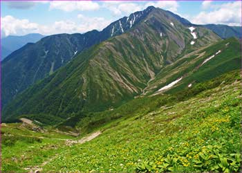 赤石岳と花畑