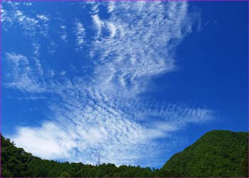 椹島の空