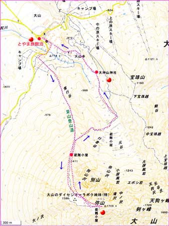 大山地図