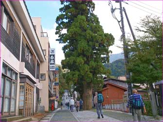 大山寺参道