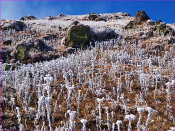 雪薄化粧の斜面