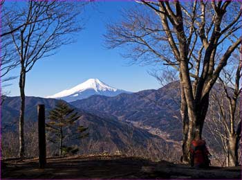 鳥ノ胸山で