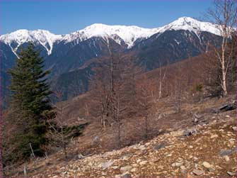 白峰三山