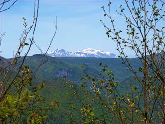 頸城の山遠望