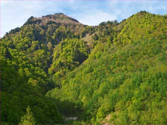 大岩山