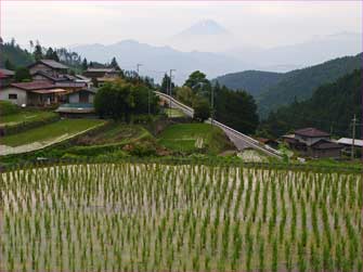 平林