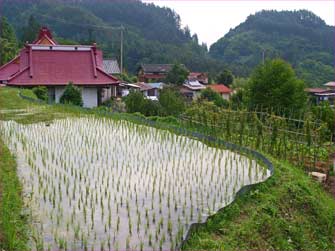 平林