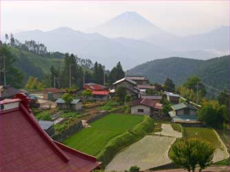 平林