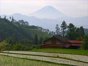富士山