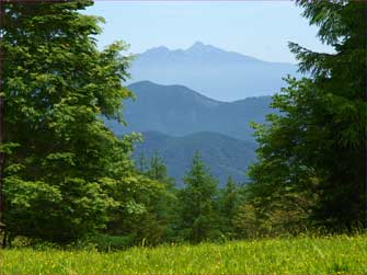八ヶ岳