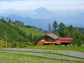 平林の富士