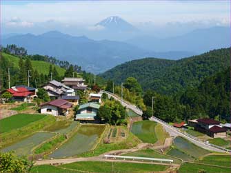 平林の景