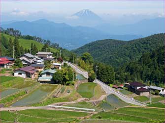 平林の景