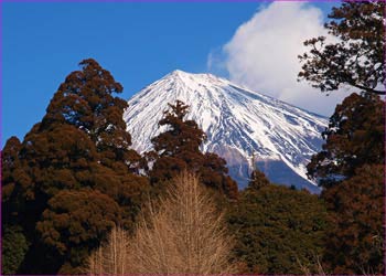 村山神社富士山