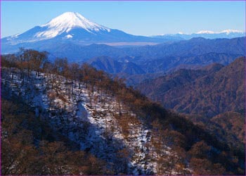 塔ノ岳から富士