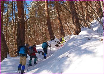 登山者の後を