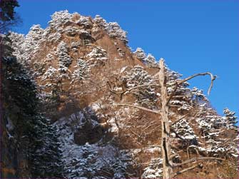 雪景