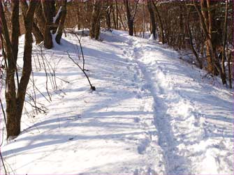 雪道