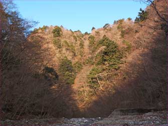 用木沢