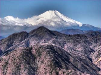 富士山