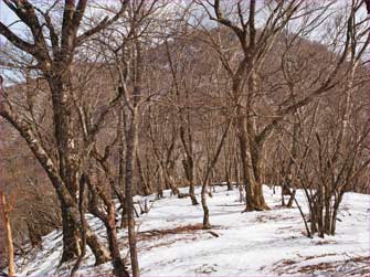 大室山振り返る