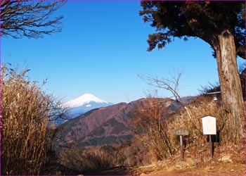 富士見台