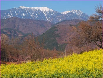 鳳凰山春の景