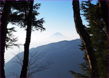 富士山展望