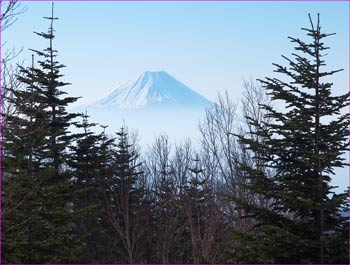 富士山望む